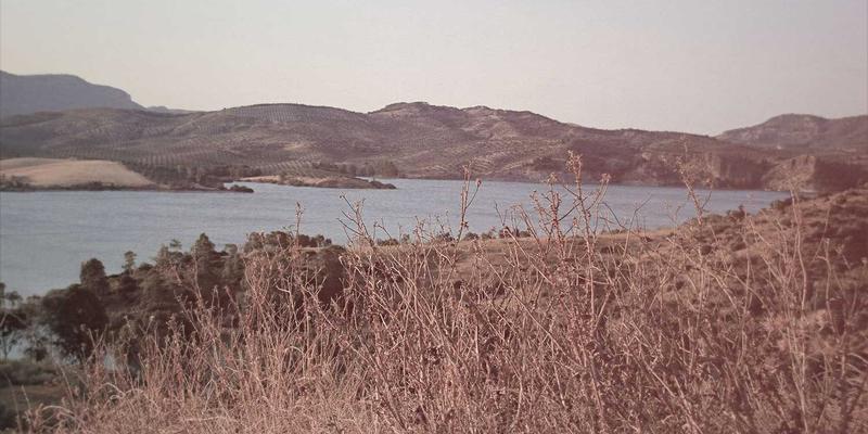 从“5伙伴”到深度社群:兴趣小组如何重塑你的社交平台体验