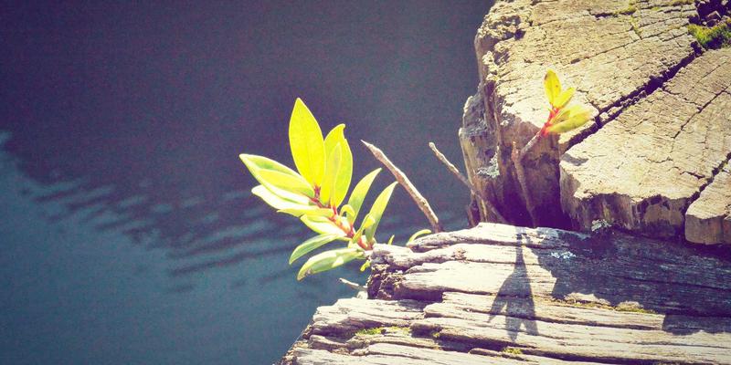 从兴趣小组到深度连接：解锁社交平台的同好交友进阶指南