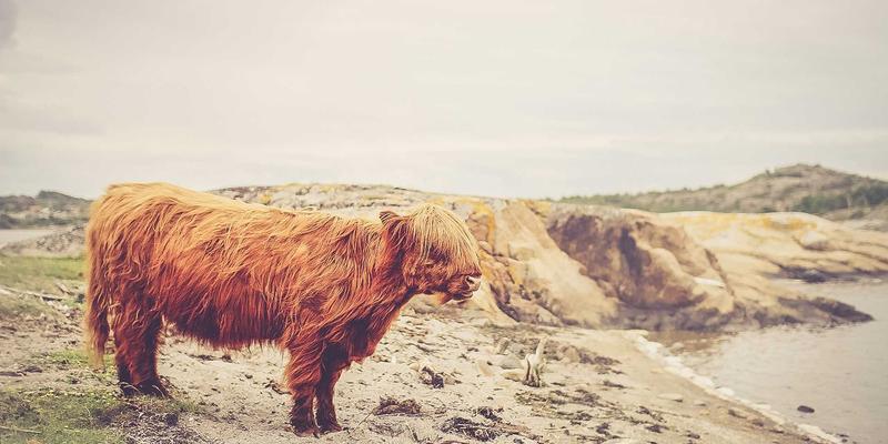 从游戏组队到运动健身:社交平台如何守护你的数字足迹?