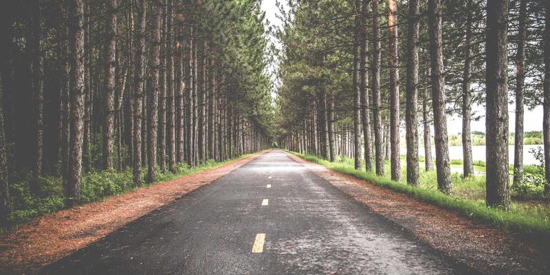 从点赞到变现:如何挖掘线上兴趣社区的弱连接金矿?