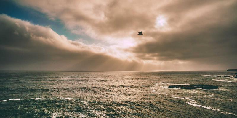 告别孤独社交！深度评测5伙伴：如何精准找到你的线上同好社区？