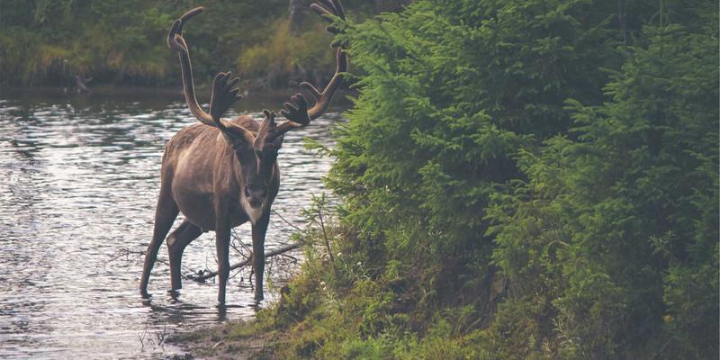 当音符遇上红线:音乐分享社交平台的内容审核边界与伦理困境