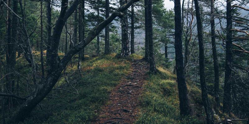 社交平台68：在5伙伴的陪伴下，找到你的专属同好圈