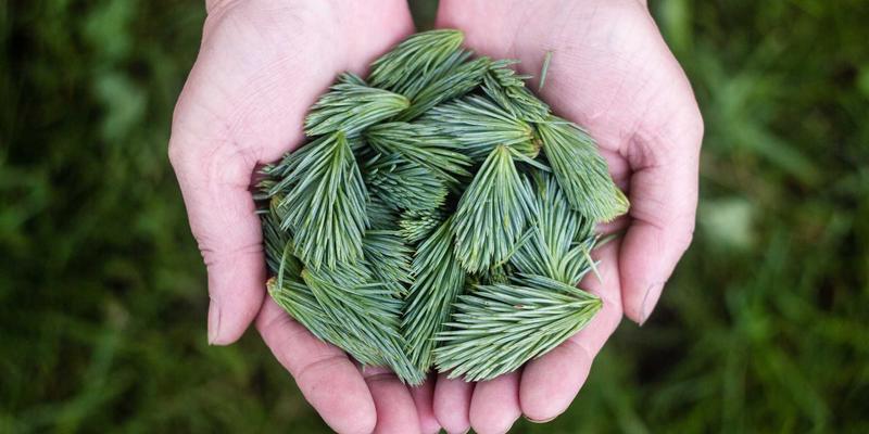 社交平台内容分级制度:构建全年龄安全生态的5伙伴策略