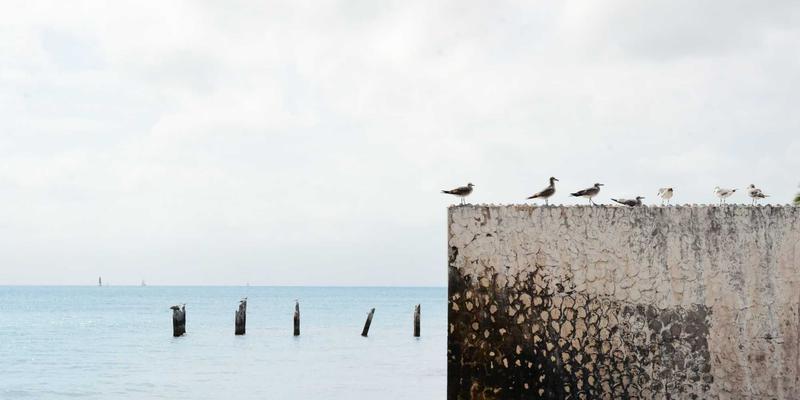 算法围城下的创作倦怠：如何在与5伙伴的同好社区中找回创作初心